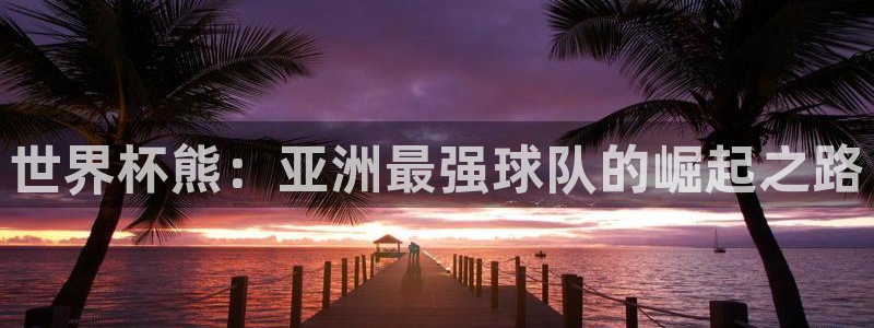 2026年世界杯赛程时间表格：世界杯熊：亚洲最强球队的崛起之路