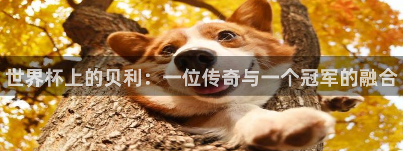 世界杯直播网：世界杯上的贝利：一位传奇与一个冠军的融合