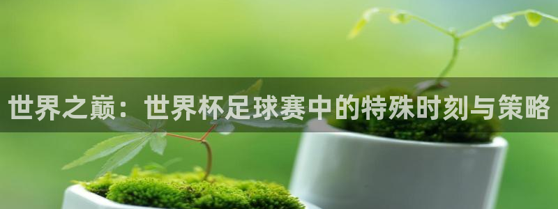 世界杯决赛直播：世界之巅：世界杯足球赛中的特殊时刻与策略