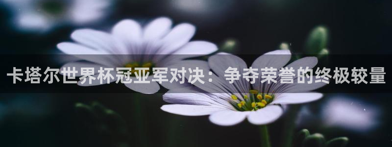 世界杯决赛直播：卡塔尔世界杯冠亚军对决：争夺荣誉的终极较量