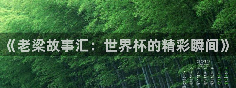 世界杯决赛圈球队：《老梁故事汇：世界杯的精彩瞬间》