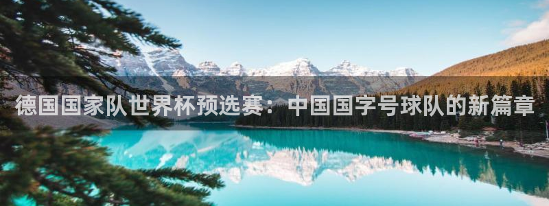 世界杯决赛直播：德国国家队世界杯预选赛：中国国字号球队的新篇章