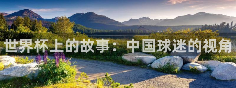 世界杯今年：世界杯上的故事：中国球迷的视角