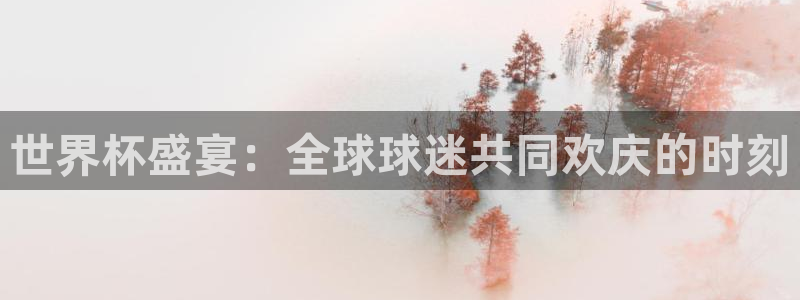 世预赛直播：世界杯盛宴：全球球迷共同欢庆的时刻