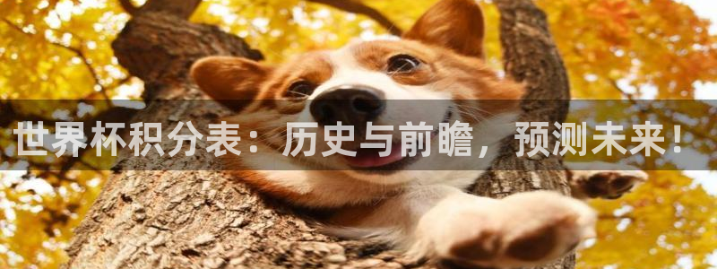 世界杯预选赛：世界杯积分表：历史与前瞻，预测未来！