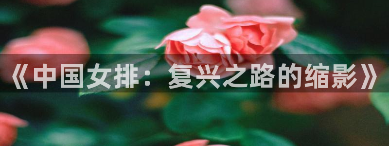 英足总杯直播：《中国女排：复兴之路的缩影》