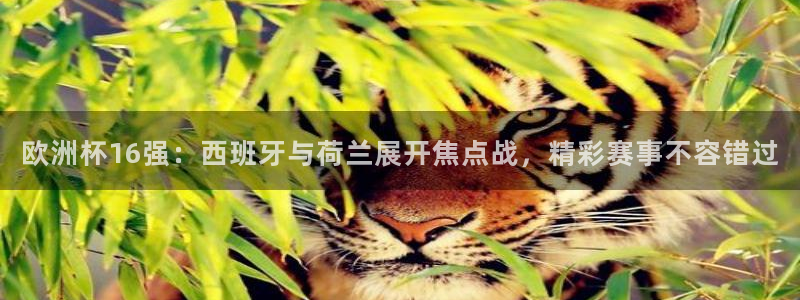 欧洲世界杯预选赛：欧洲杯16强：西班牙与荷兰展开焦点战，精彩赛事不容错过