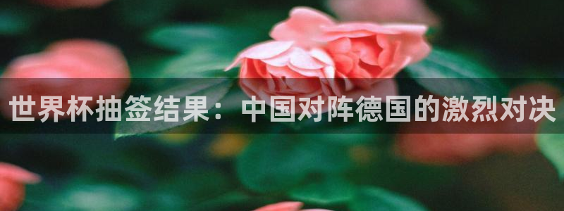 2026世界杯欧洲预选赛赛程表：世界杯抽签结果：中国对阵德国的激烈对决