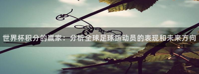 世界杯预选赛：世界杯积分的赢家：分析全球足球运动员的表现和未来方向