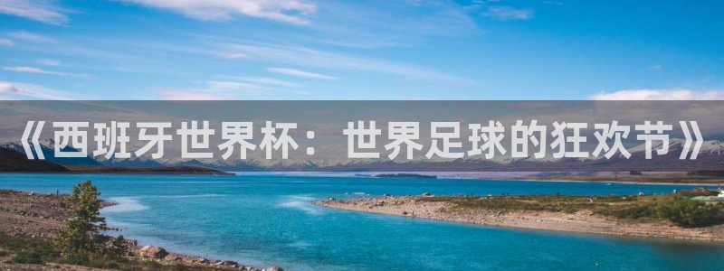 世界杯足球赛：《西班牙世界杯：世界足球的狂欢节》